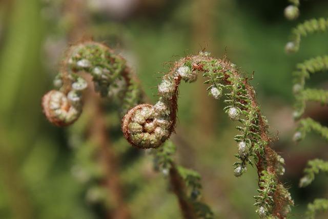 Méthode pour lancer un business en ligne sans compétences